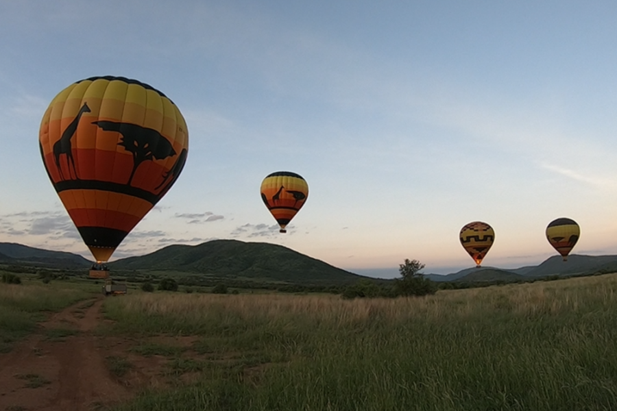 South Africa 7