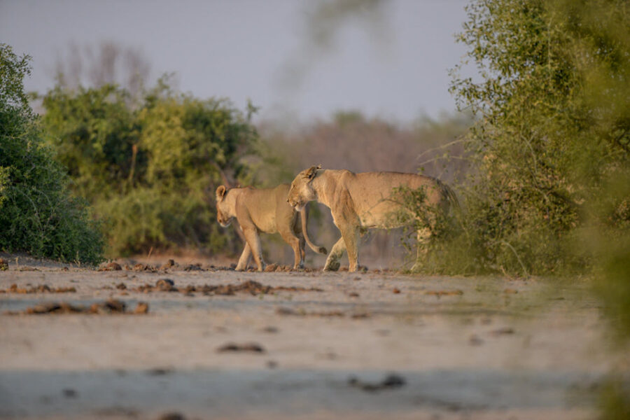 Southern Africa 5