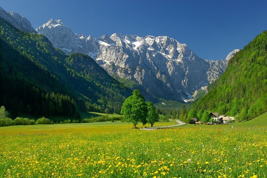 Slovenia Logarska-dolina_01